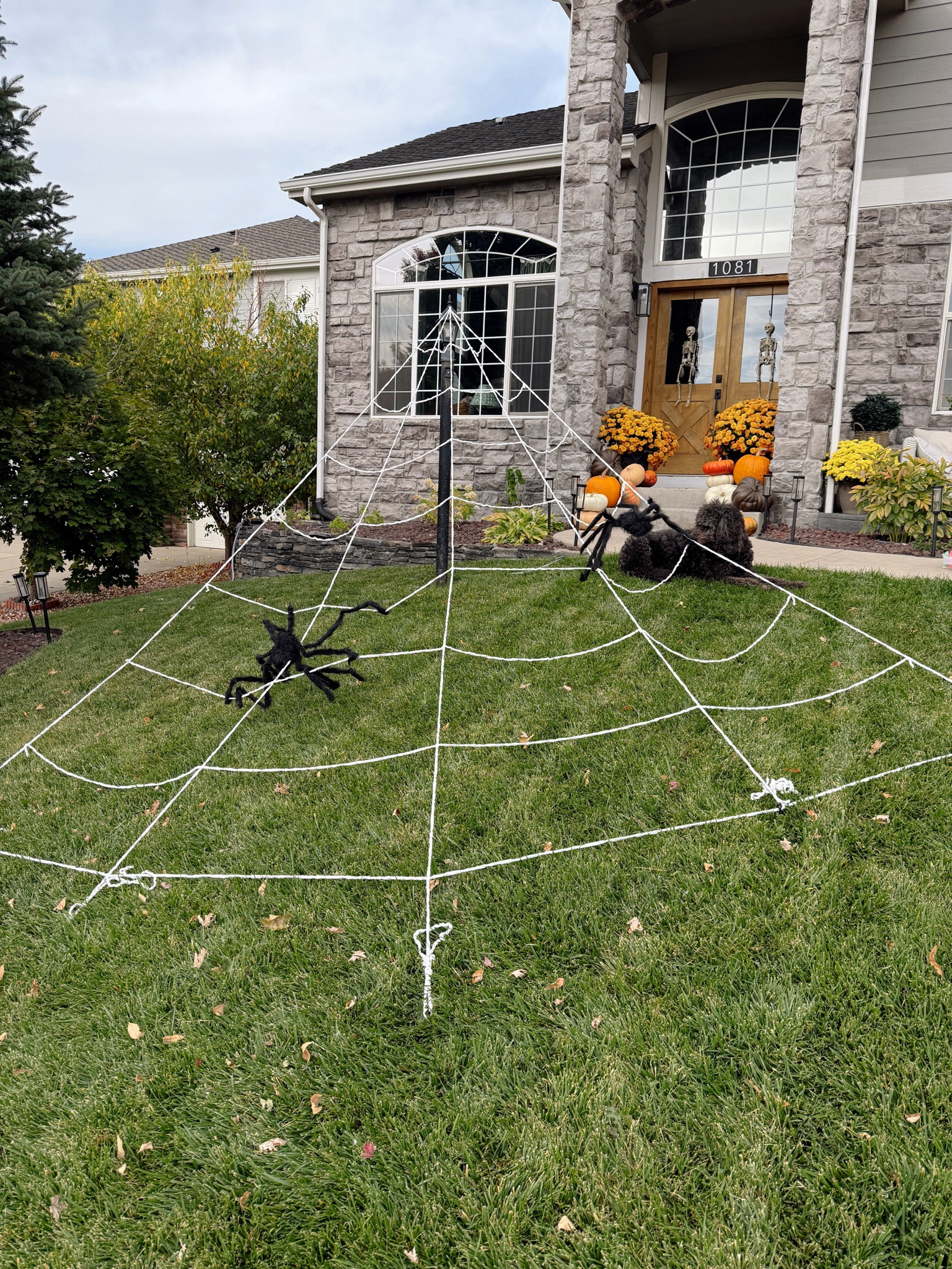 Outdoor spider web from Amazon! Comes with one spider also! 

#LTKFindsUnder50 #LTKHome #LTKSeasonal