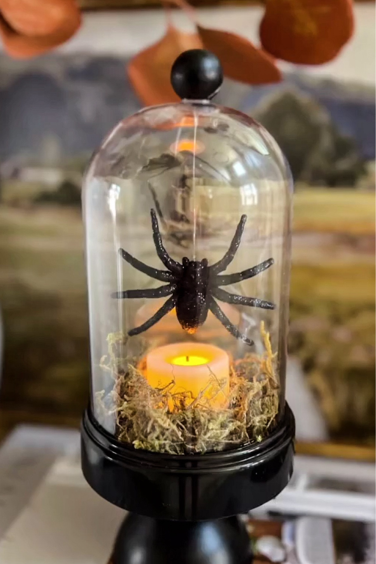 DIY Spider Cloche / Halloween Decor 

#LTKSeasonal #LTKFindsUnder50 #LTKHome