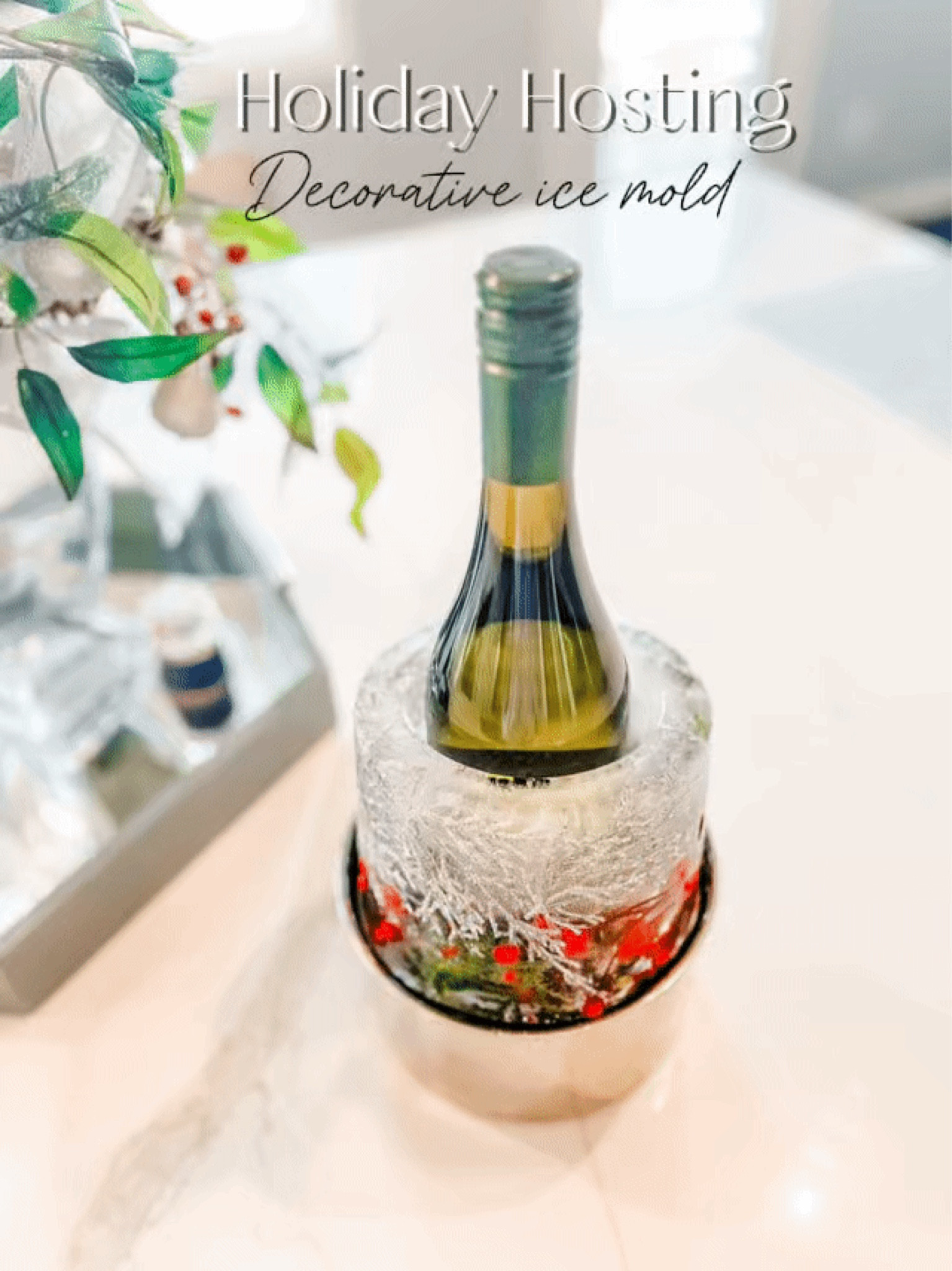 This ice mold is a favorite to use all year round, but especially during the holidays! Fill with your favorite garnish, freeze, and use as a show stopper piece at your holiday party! It would make a great hostess gift!

#LTKHoliday #LTKGiftGuide #LTKParties