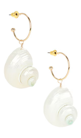 Shell Earrings in Gold | Revolve Clothing (Global)