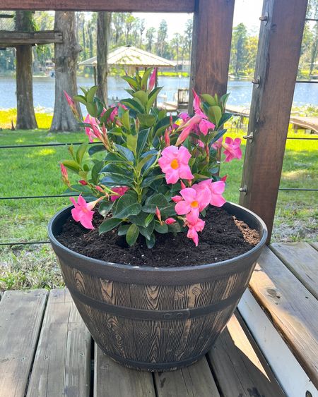 Spent the afternoon doing some gardening with Kevy and it was good for my soul ❤️ I bought 2 of these 20 inch barrel planters and they are awesome and just $15.48!

#LTKhome #LTKSeasonal #LTKfindsunder50