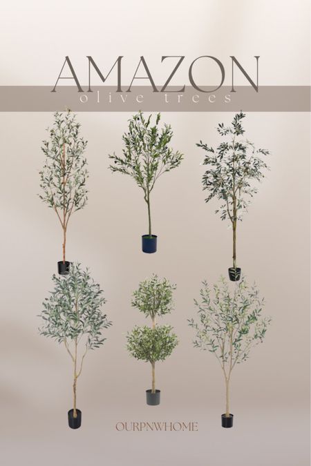 Perfect faux olive trees for the spring home from Amazon!

Spring decor, home decor, faux greenery, faux trees, Amazon home

#LTKstyletip #LTKhome #LTKSeasonal