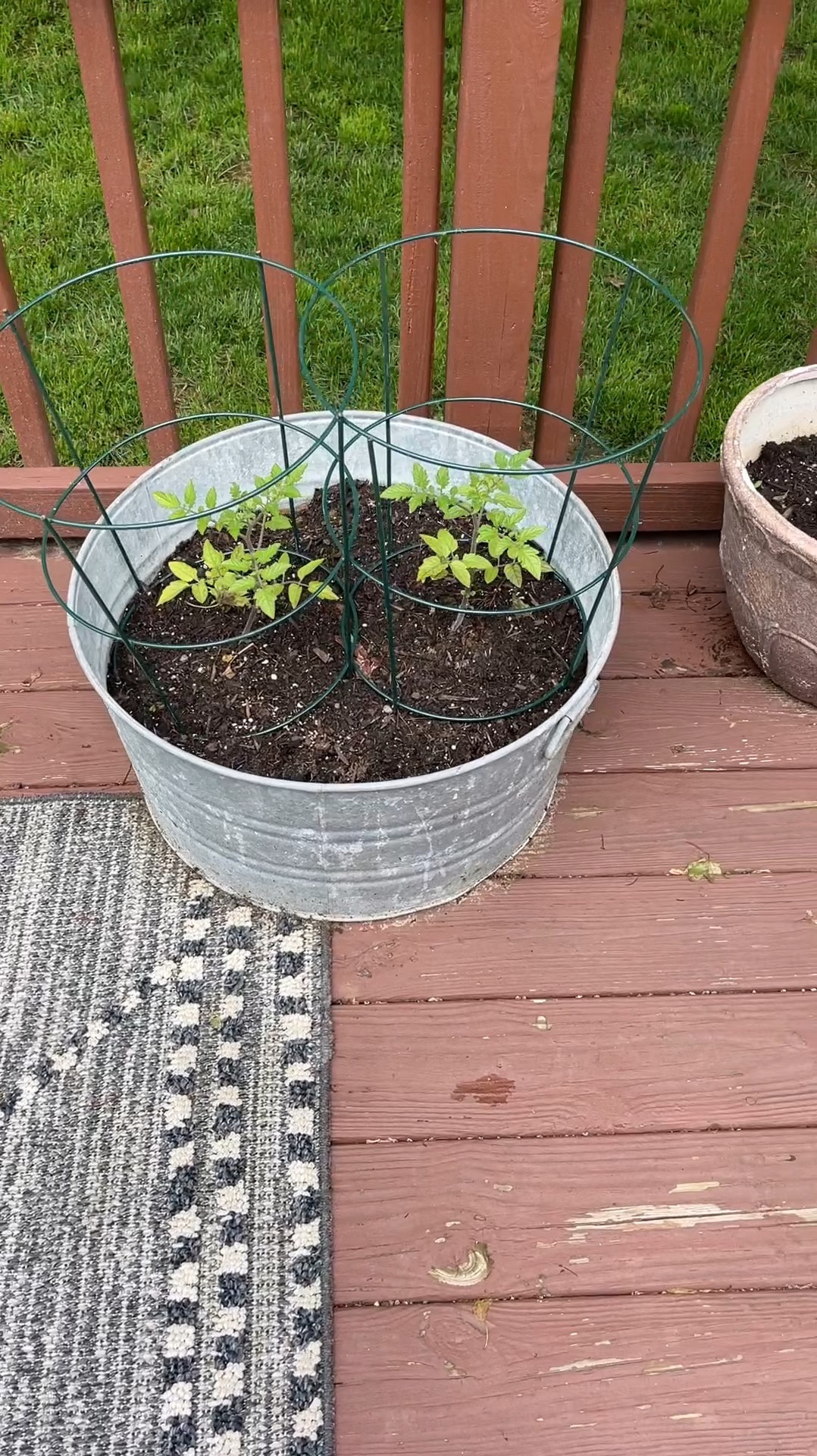 Some of my favorite garden tools


#LTKFindsUnder100 #LTKSeasonal #LTKHome