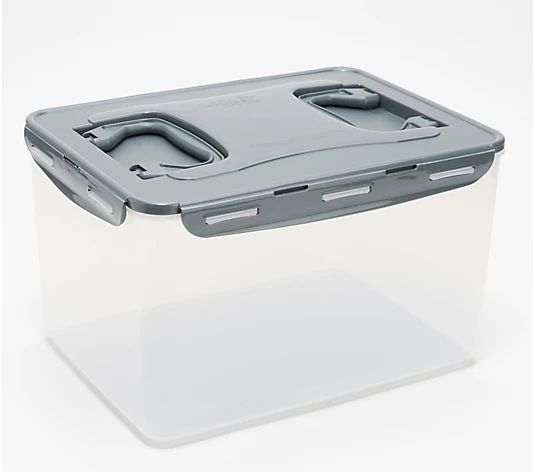 LocknLock XL Multi-Function Storage Container with Handles - QVC.com | QVC