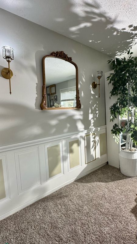 Amazon home 
Spotlights 
Wall accents 
Faux trees 
Accent lights 
Wall sconces 
Cordless wall sconce 
Gold ornate mirror 
Primrose mirror dupe 

#LTKfamily #LTKfindsunder100 #LTKhome