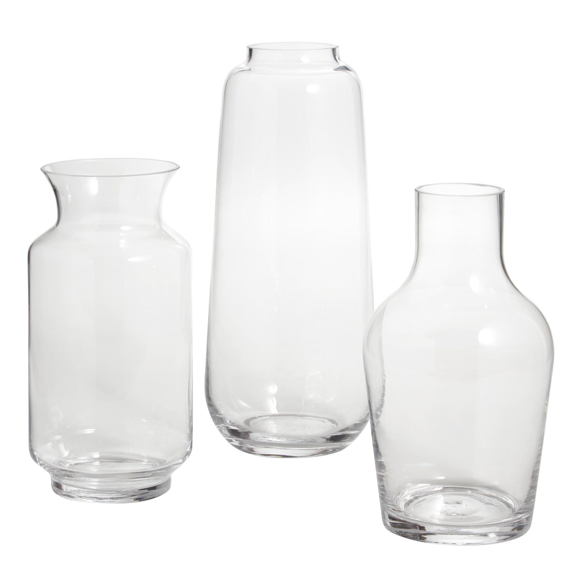 Clear Glass Contemporary Vase Collection by World Market | World Market