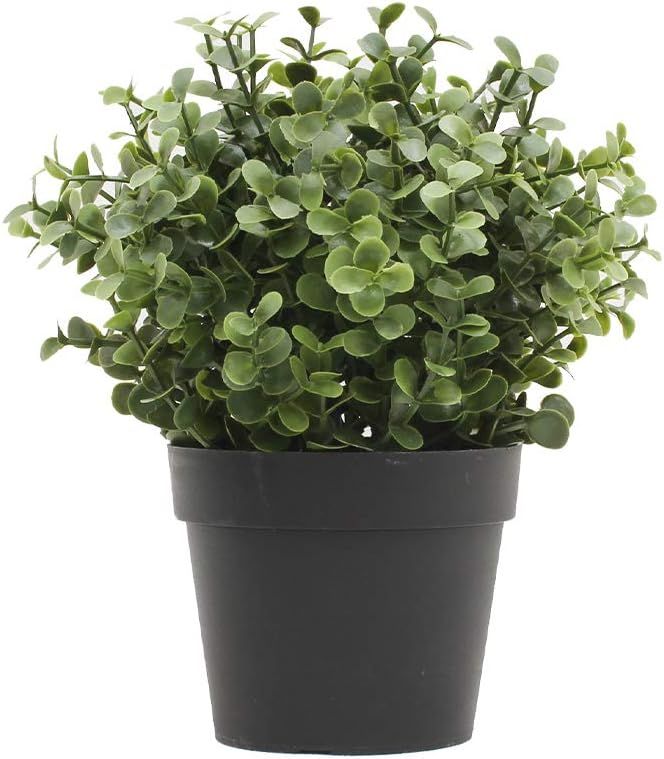 ECOOPTS Artificial Topiaries Pots Plants Mini Plant Potted Plastic in Pots Fake Lifelike Buxus Fl... | Amazon (US)