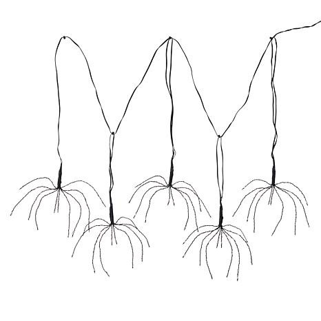 Harvest Lane Spider Drop String Lights with Timer | HSN