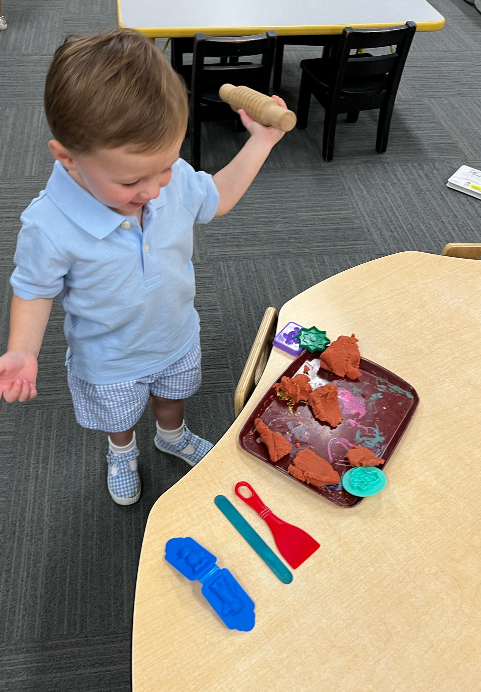 Boys back to school polo and shorts! 