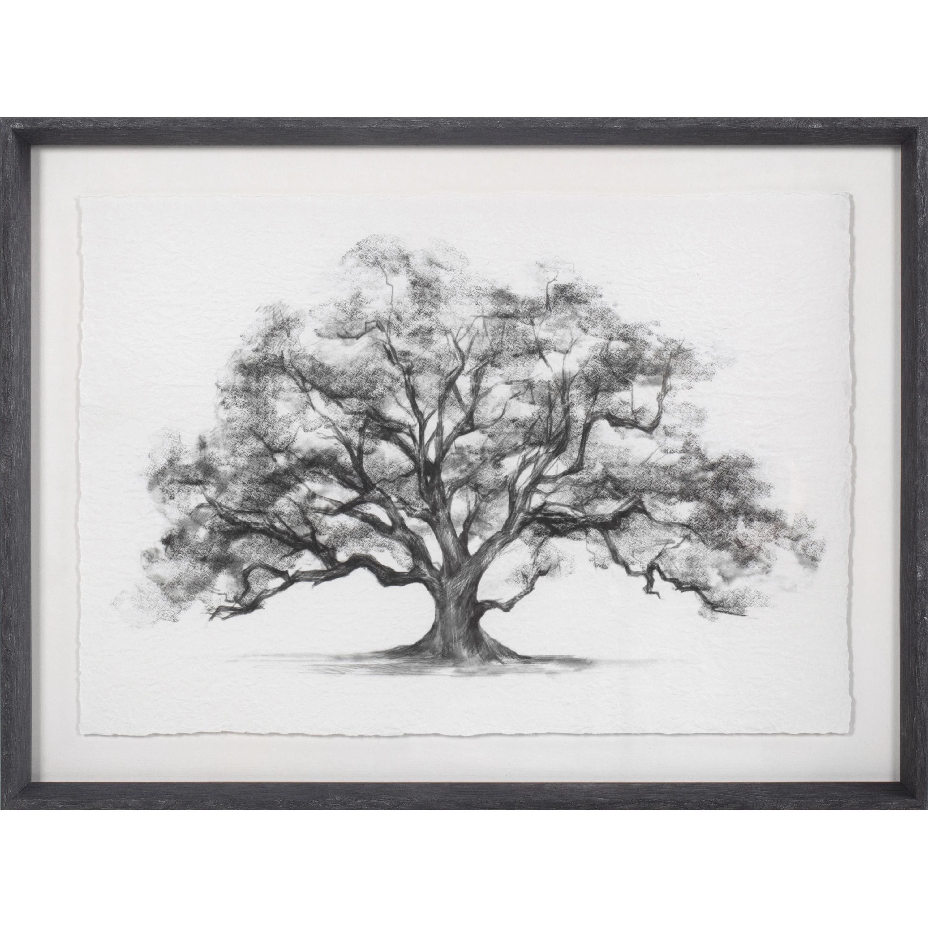 My Texas House Elm Tree on Parchment Framed Art 24" x 18" | Walmart (US)