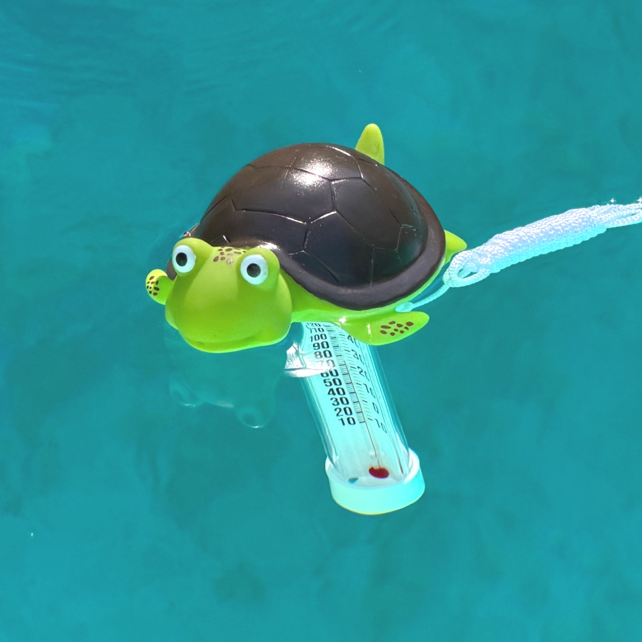 Found the cutest turtle pool thermometer for checking our pool temperature this summer 😍🙌🐢🐢🐢🐢🏊‍♀️ and it’s under $10 🎉🎉🎉 looking forward to swimming and playing in the pool!! ❤️

#LTKHome #LTKSwim #LTKOver40