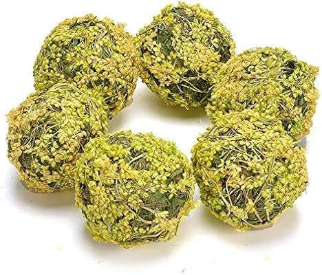 Byher Natural Preserved Moss Hanging Ball Vase Bowl Filler for Garden, Wedding, Party Decoration ... | Amazon (US)