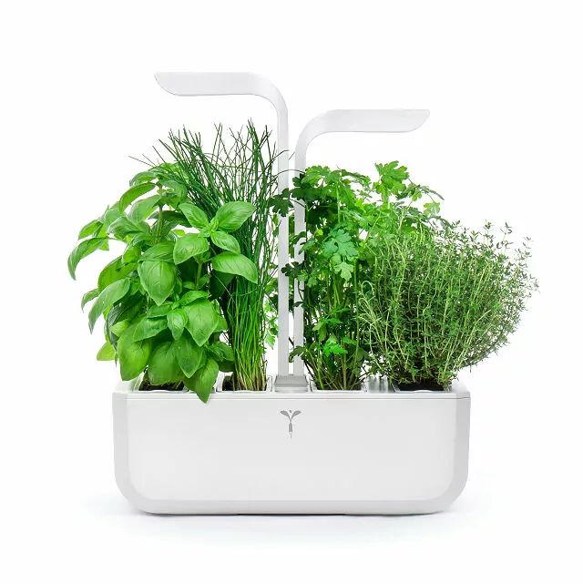 LED Self-Watering Multi-Herb Garden | UncommonGoods