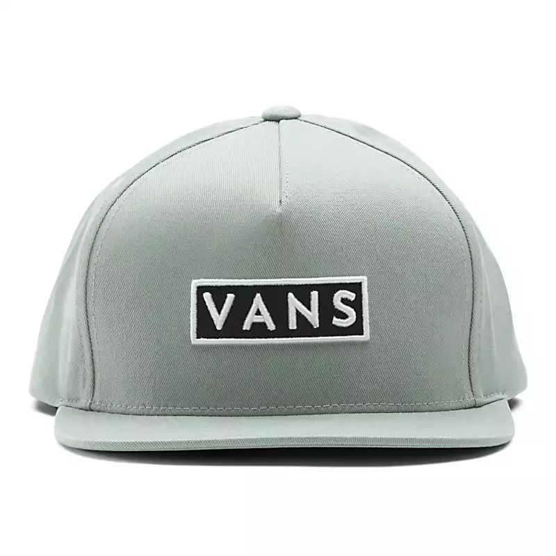 Easy Box Snapback Hat | Vans (US)