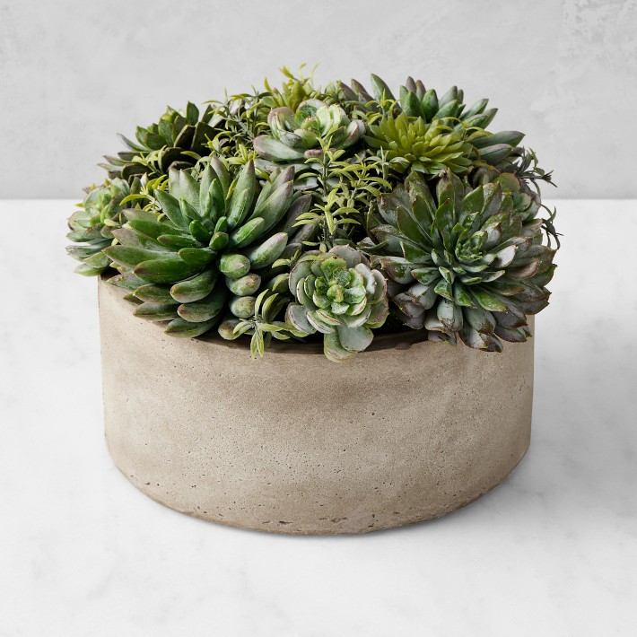 Jeff Leatham Real Touch Faux Succulents in Round Pot | Williams-Sonoma