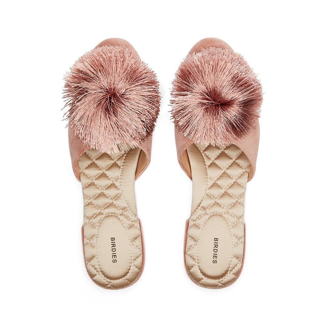 the songbird | BIRDIES