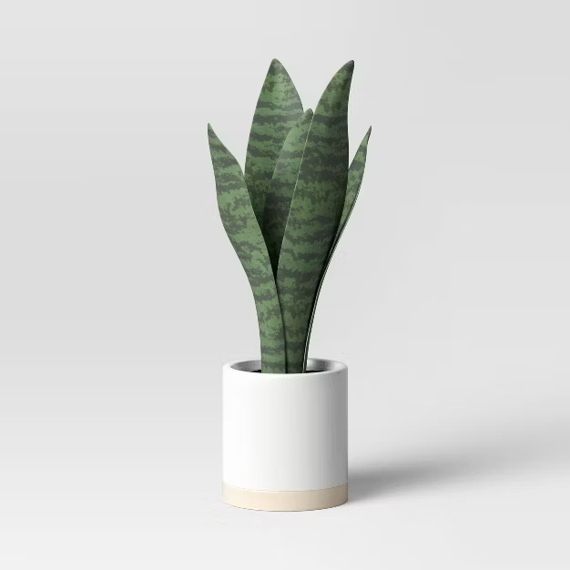 Small Snake Plant in Ceramic Pot White - Threshold™ | Target