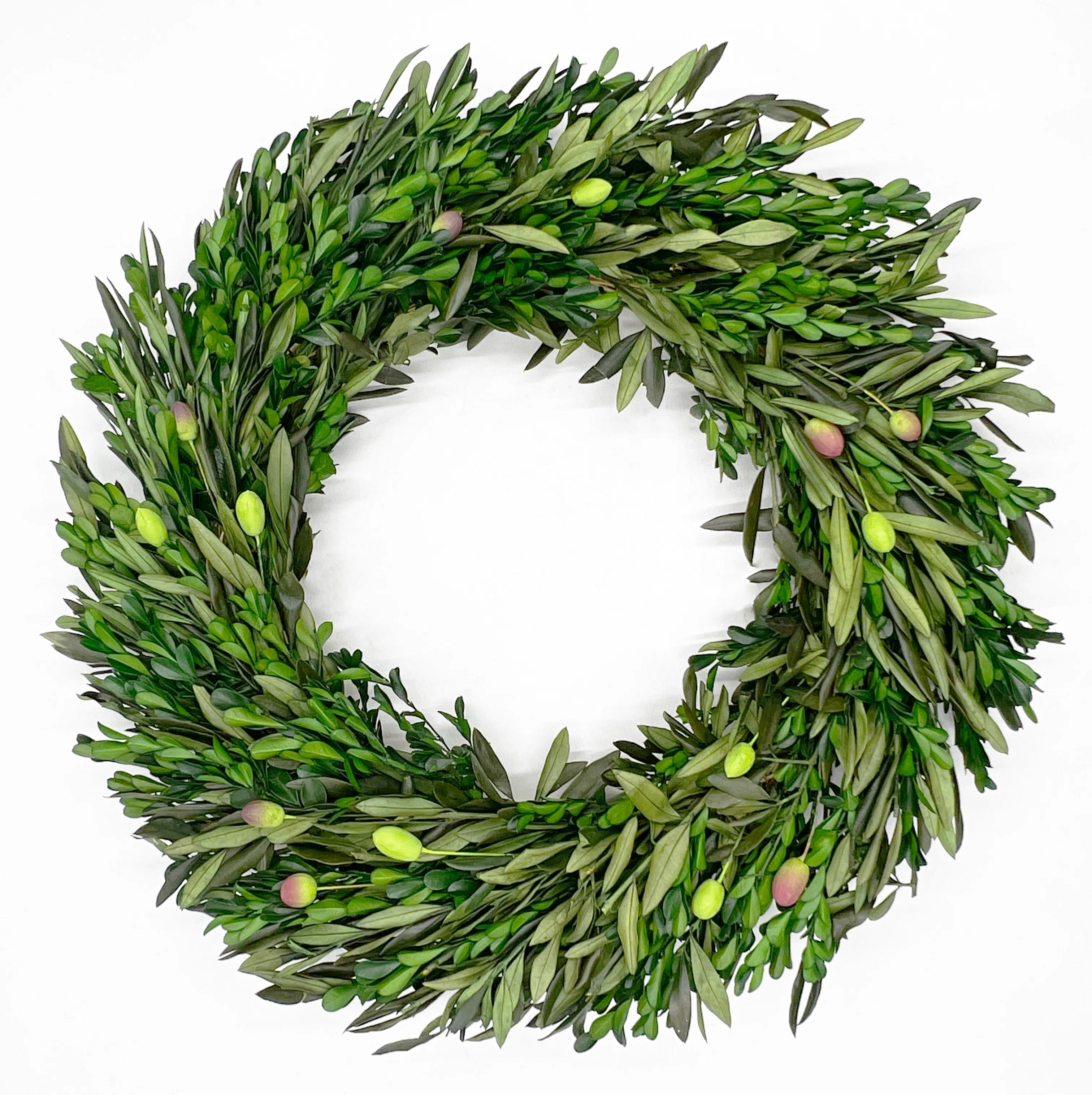 21" Dried Preserved Olive Leaf and Boxwood Wreath | Wayfair North America