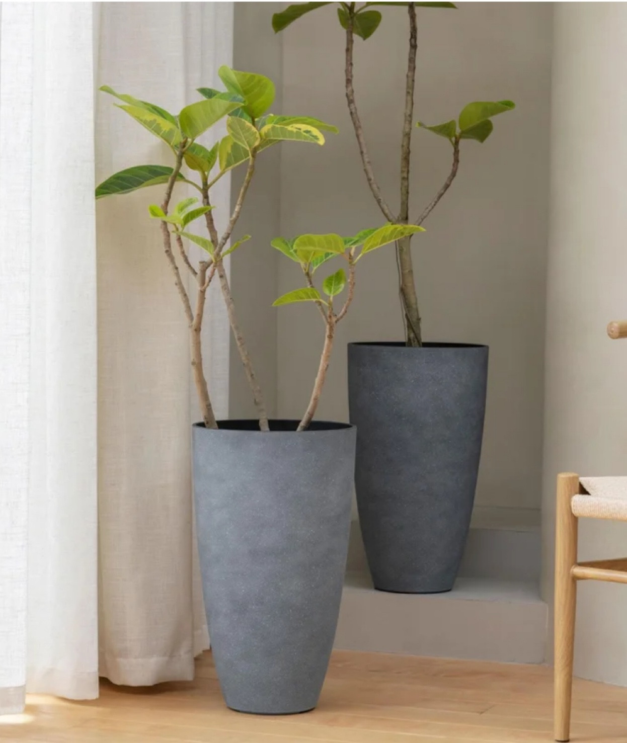 #LTKSeasonal #LTKsalealert #LTKhome