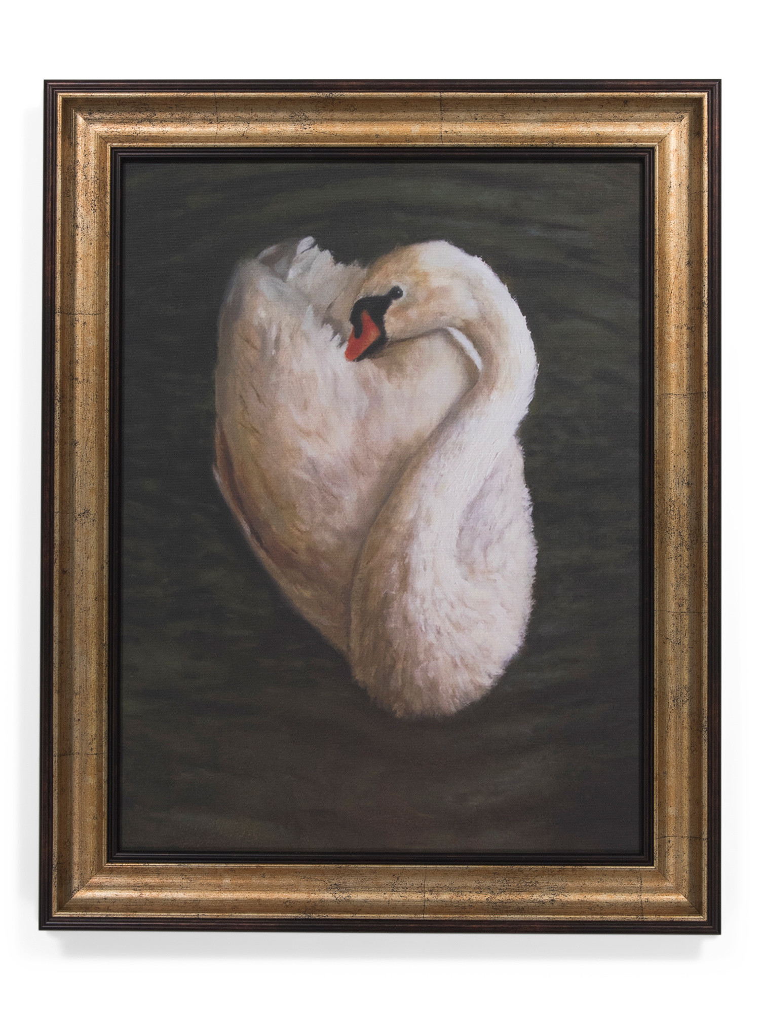16x20 Swan Wall Art | TJ Maxx