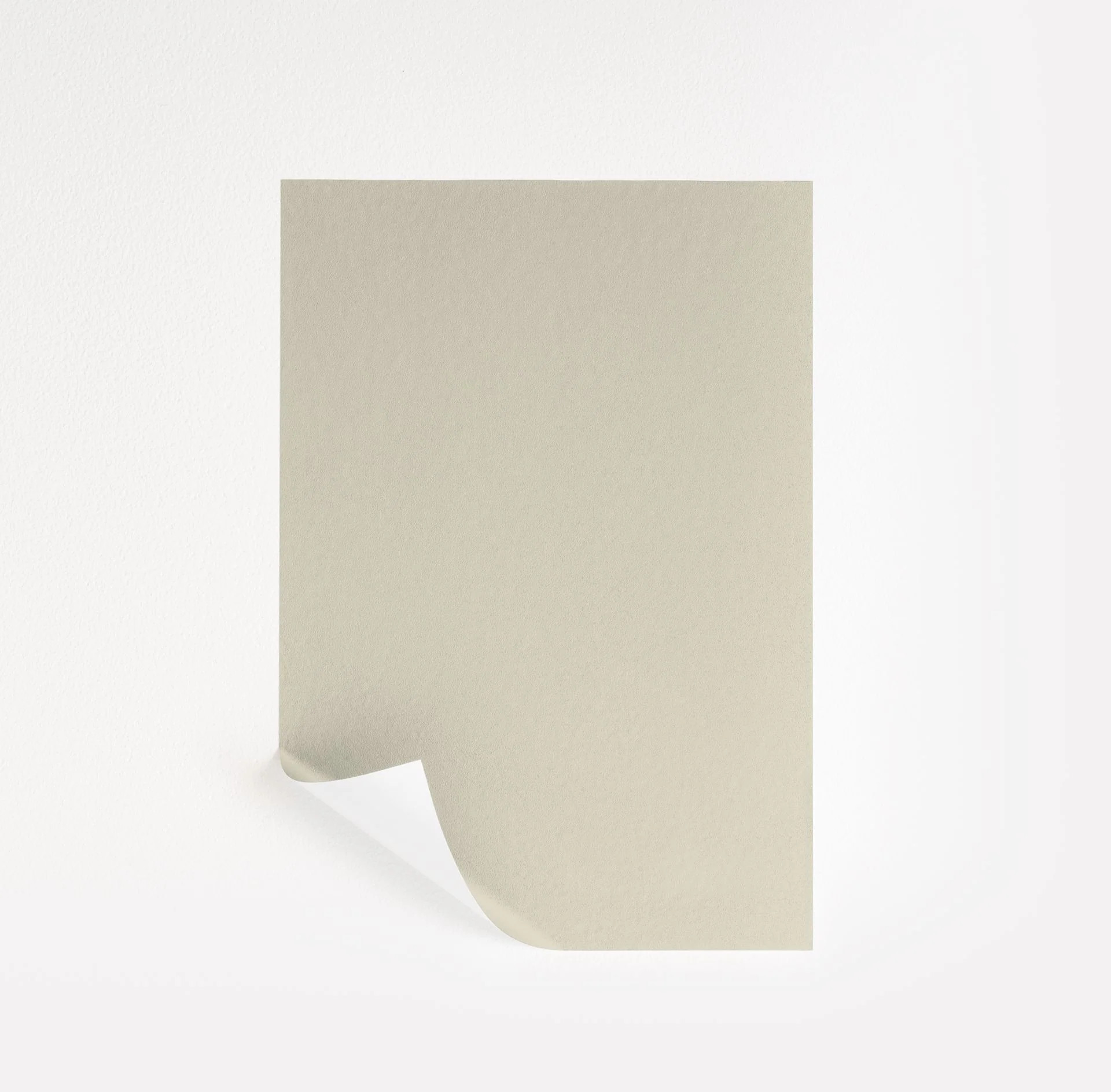 Shadow White Paint Sample by Farrow & Ball (282) | Peel & Stick Paint Sample | Samplize