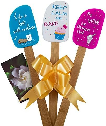 3 Piece Fun Silicone Spatula Gift Set with lovely bow and photo gift card. Easy clean, durable, high | Amazon (US)