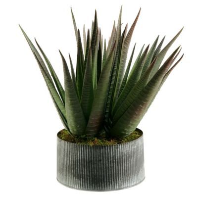 D&W Silks Agave Plant in Tin Planter | Bed Bath & Beyond