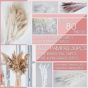 86PCS Natural Dried Pampas Grass Bouquet,Boho Home Decor Bouquet, Phragmites Dried Flowers,Bouque... | Amazon (US)