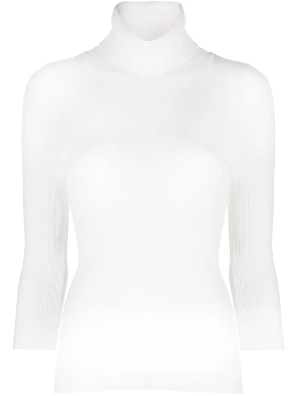 ribbed-knit roll-neck knitted top | Farfetch Global