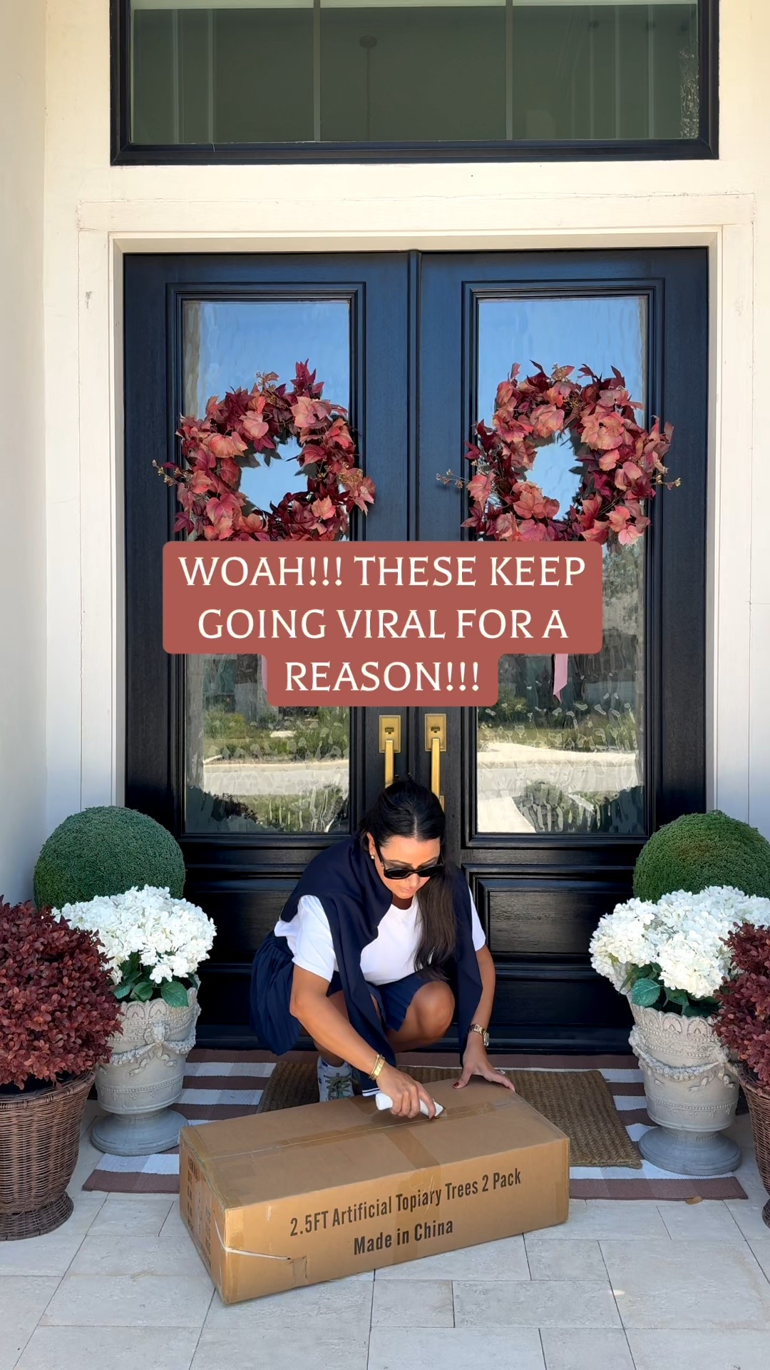 The most viral boxwoods of the season!!!

#LTKSeasonal #LTKFindsUnder100 #LTKHome