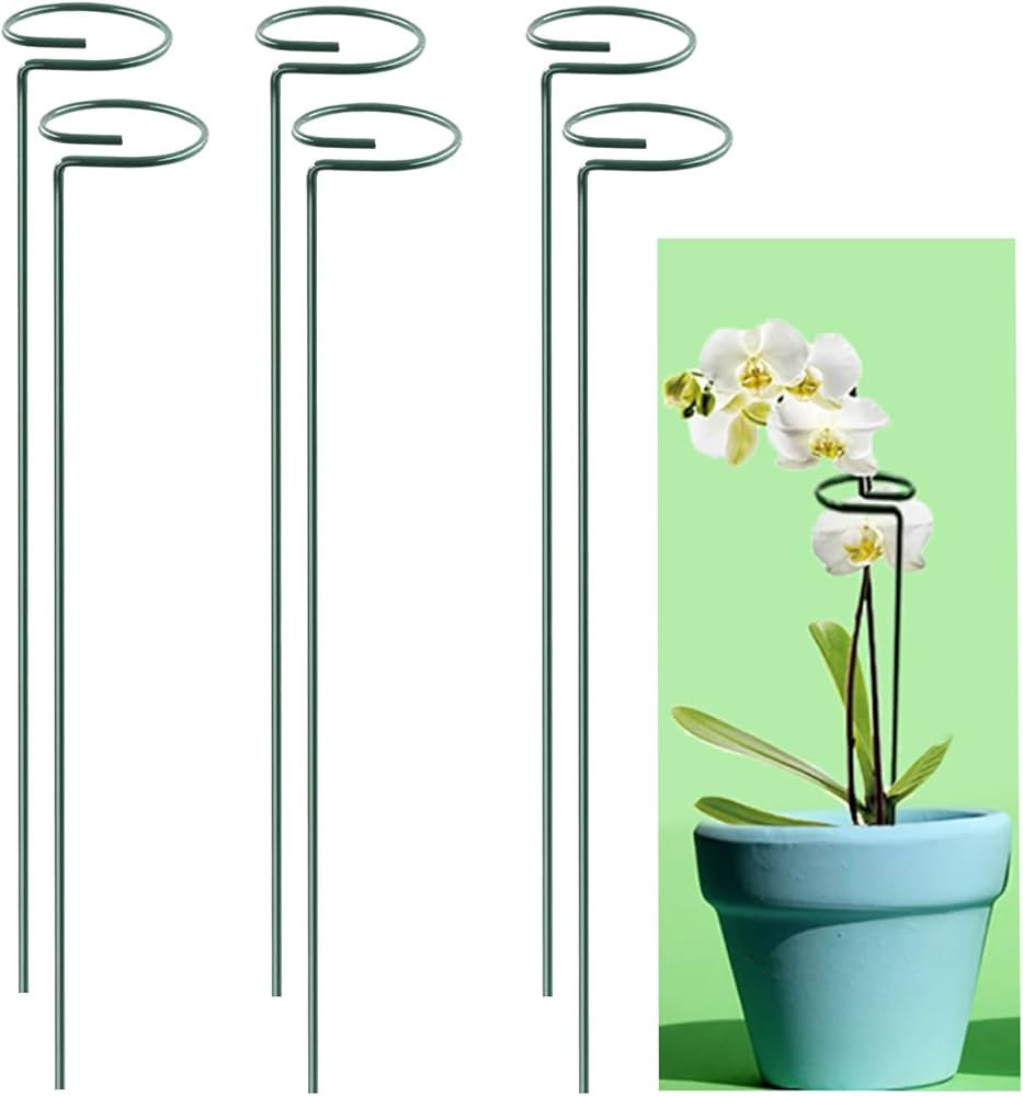 Plant Stake Support - 3-Inch Diameter Steel Support Stands with Green Plastic Coating - Gardening... | Amazon (US)