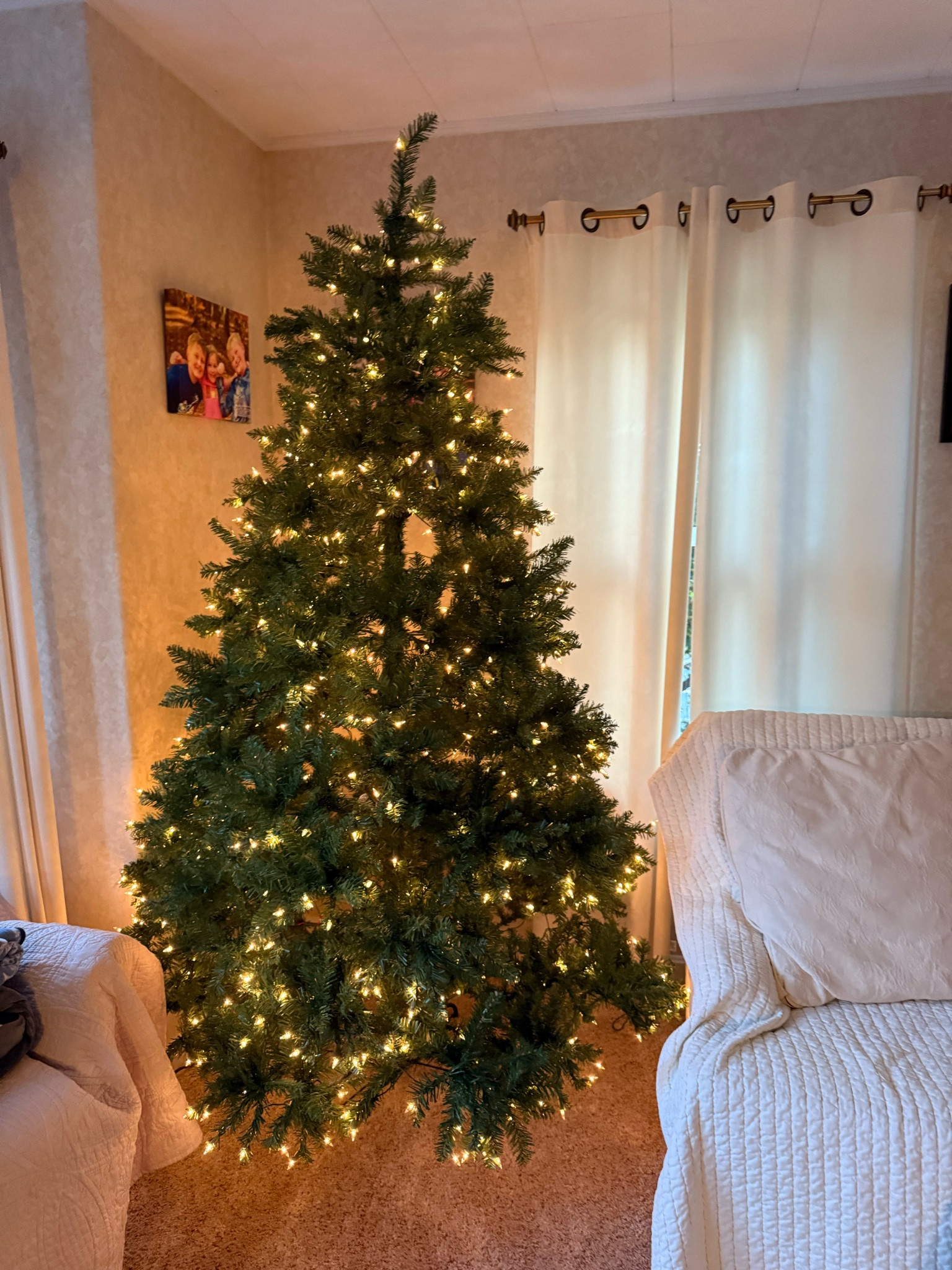 Christmas is right around the corner and this Full Noble fir has been a winner year after year at my house. And you can not beat the price!

#LTKSeasonal #LTKHome #LTKPetite