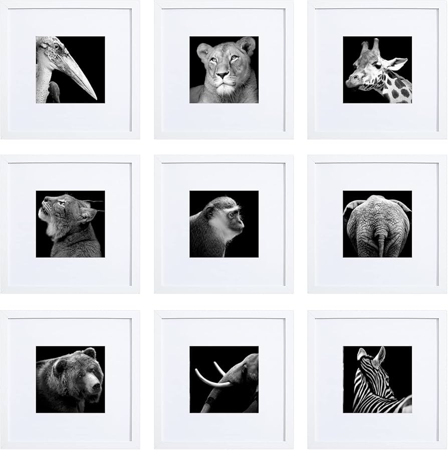 HEART ART 10x10 White Picture Frames set of 9, Display Photos 6x6 with Mat or 10 x 10 without Mat... | Amazon (US)
