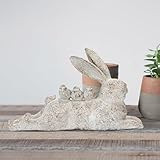 Creative Co-Op Decorative Resting Rabbit with Birds Figurine, Distressed White | Amazon (US)