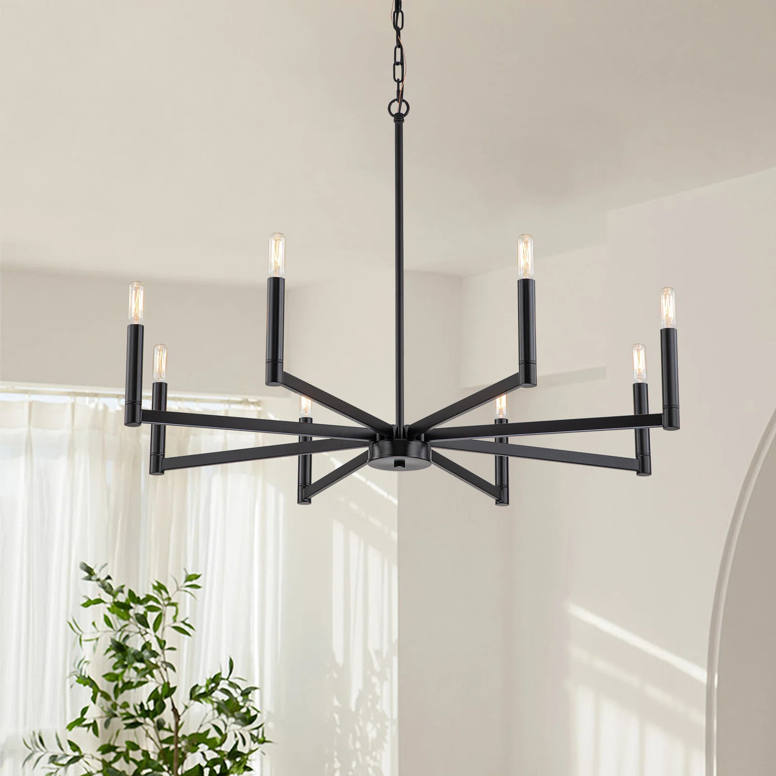 Sederick 8 - Light Dimmable Classic / Traditional Chandelier | Wayfair North America