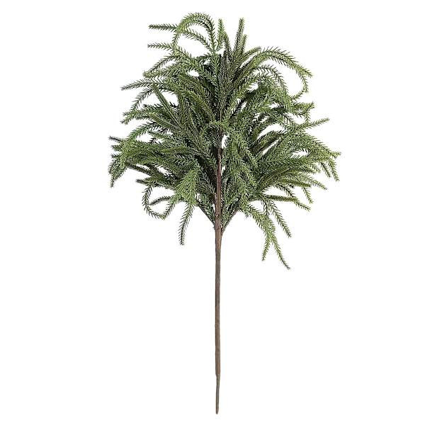Flocked Norfolk Pine Stem, 24"








	
								
				
				
					
						
						5
						
					
			... | At Home