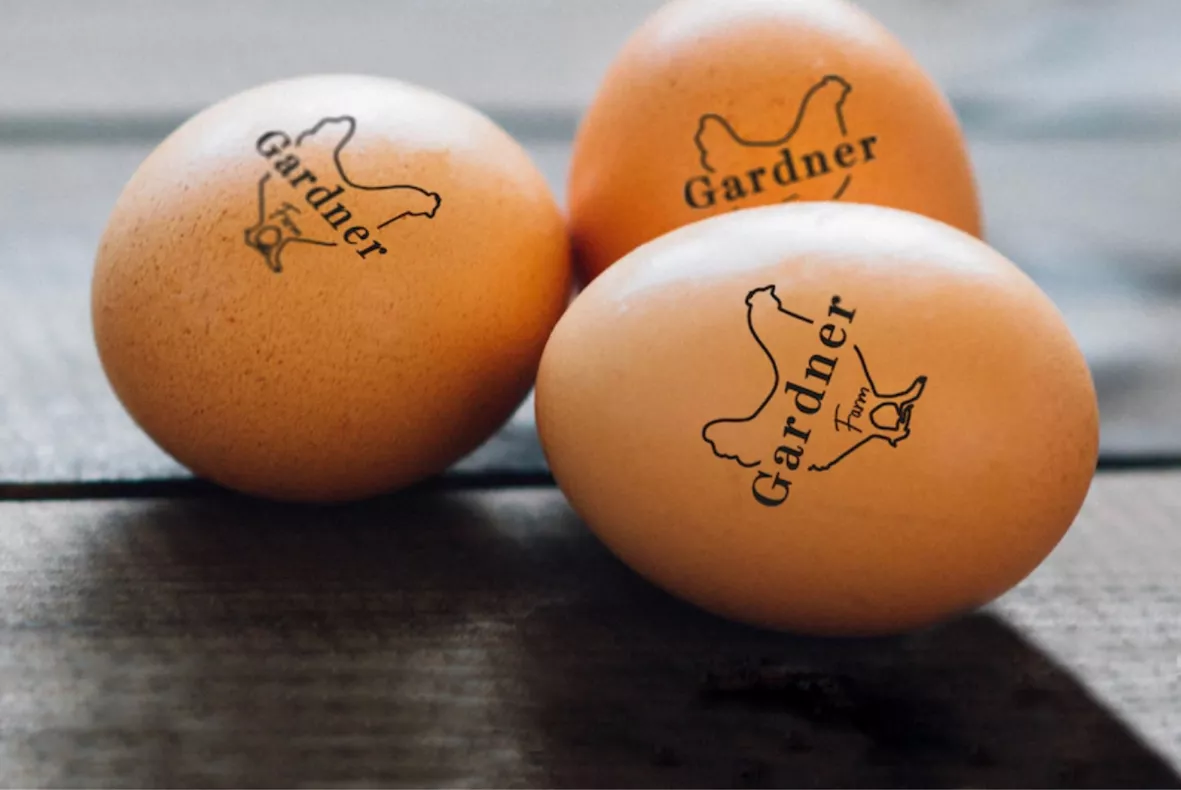 EGG STAMP, Chicken EGG Stamp, Egg … curated on LTK