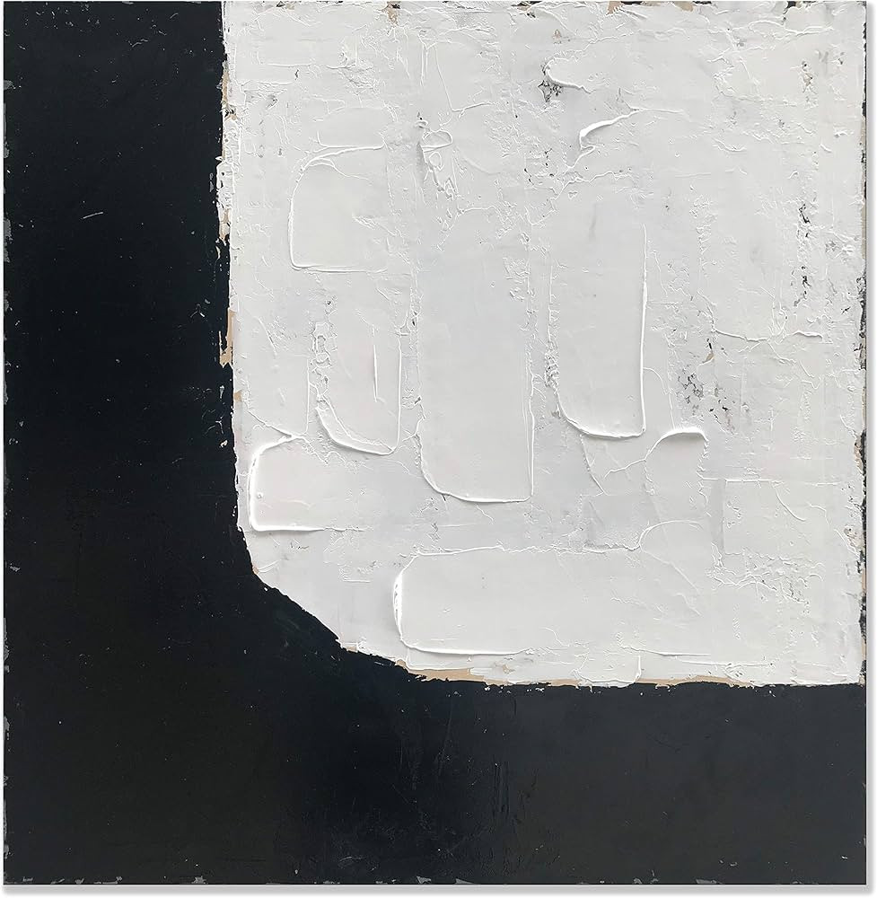 zoinart Abstract Modern Oil Paintings on Canvas Wall Art 36x36 Inches 100% Hand-Painted Black and... | Amazon (US)