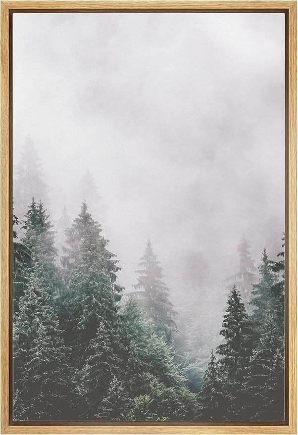 Ashbrook Framed Canvas Print Wall Art Washed Out Mist Over Forest Pine Trees Nature Wilderness Ph... | Amazon (US)