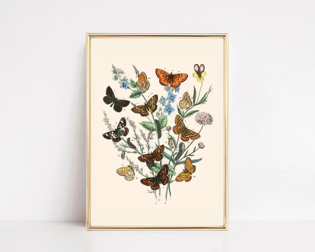 Vintage Butterfly Print  Nursery Wall Art  Vintage Botanical - Etsy | Etsy (US)