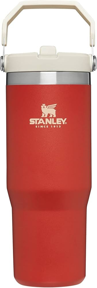 Stanley IceFlow Stainless Steel Tumbler with Straw, Vacuum Insulated Water Bottle for Home, Office o | Amazon (US)