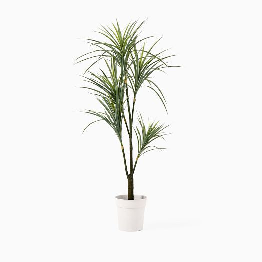 Faux Potted Dracaena Plant | West Elm (US)