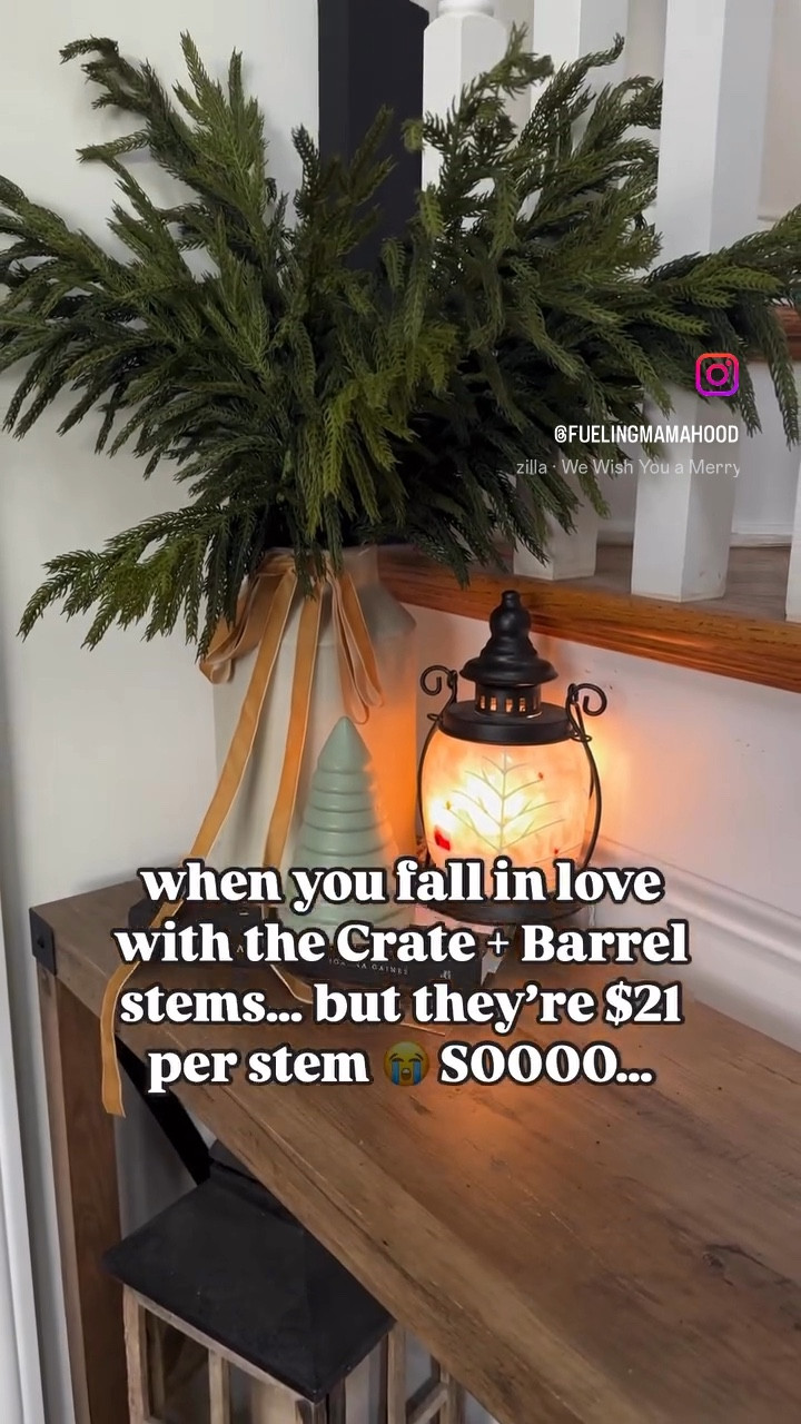 Crate + Barrel stems look for less!!!!

#LTKHoliday #LTKSeasonal #LTKHome
