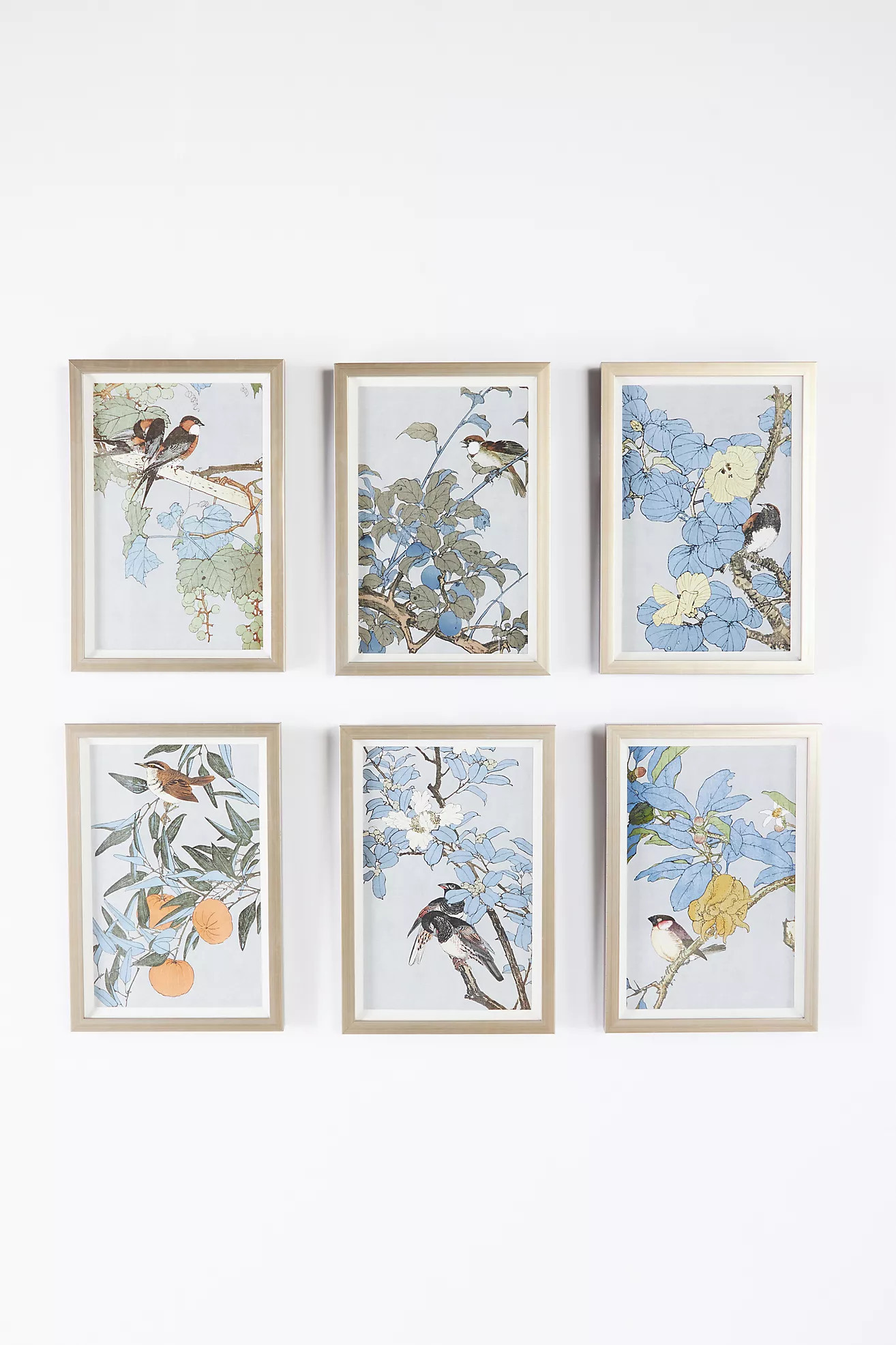 Ornithology Motif Wall Art | Anthropologie (US)