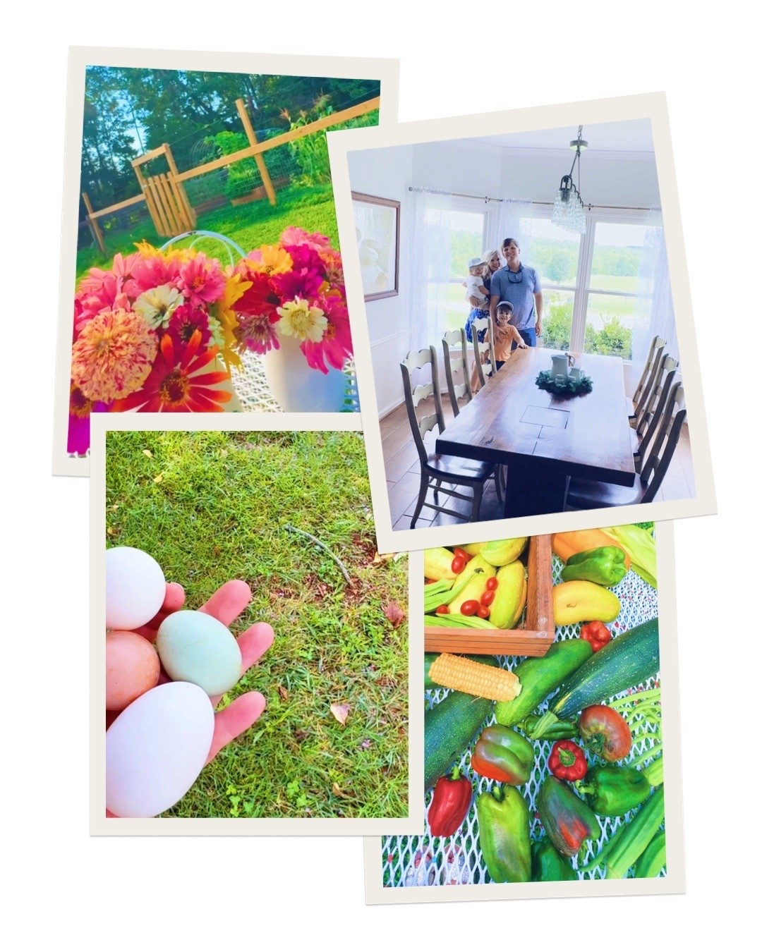 w e e k e n d  c a m e r a  r o l l 🐓💐👩‍🌾💒🌽🥚🌾🦌🧺🏡🦋🚜🪑🛻🧇🍅🐴🪴🪟🥒🫑🌼✨🍽️🫙🌸🪻 #sweetsummertime #weekendphotodump #wheregoodthingsgrow #homegrowngoodness #weekendsonthefarm