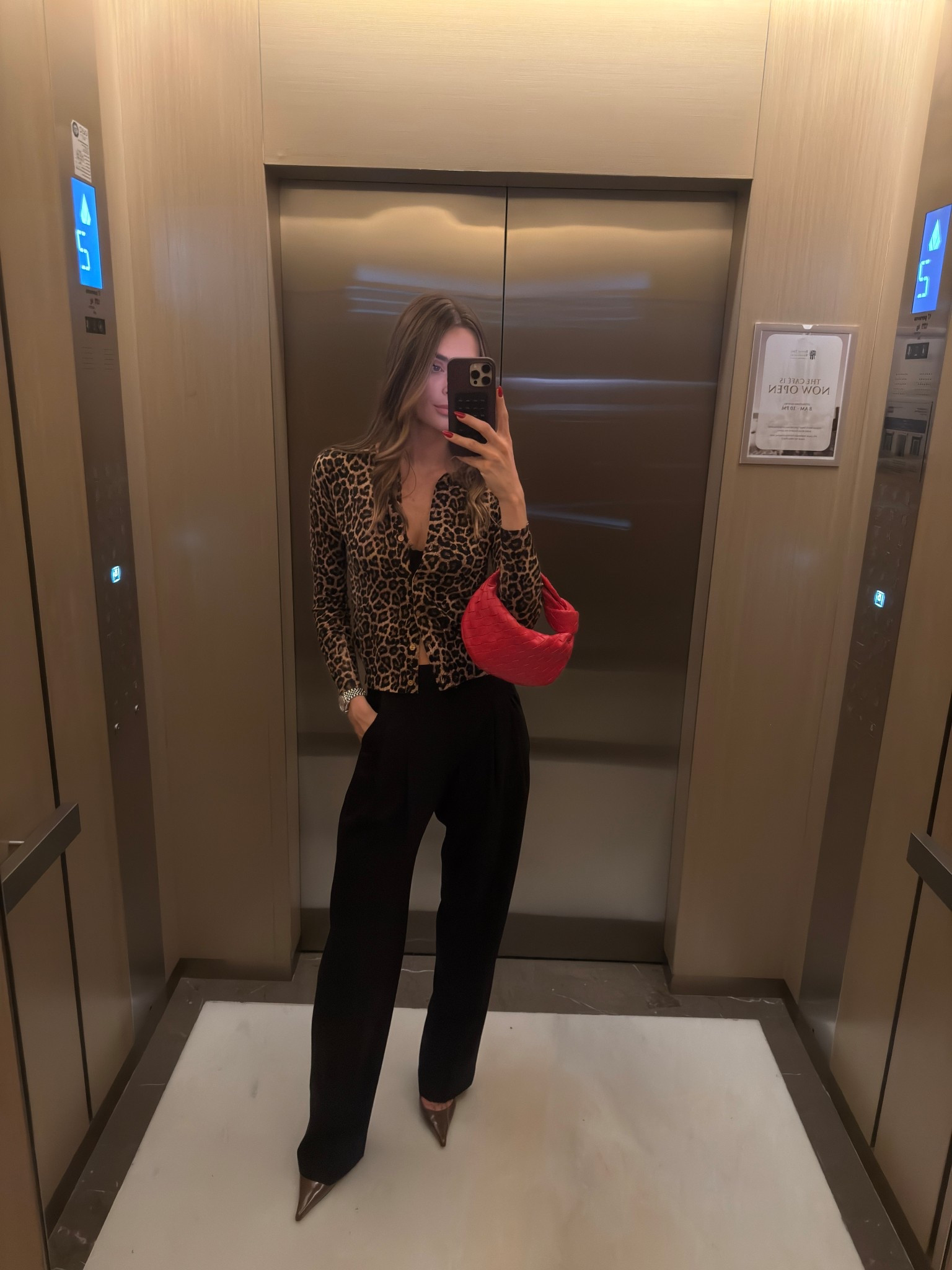 Zara autumn leopard print cardigan Frankie shop trousers Saint Laurent heels Bottega Jodie bag style 

#LTKSeasonal #LTKShoeCrush #LTKFallSale