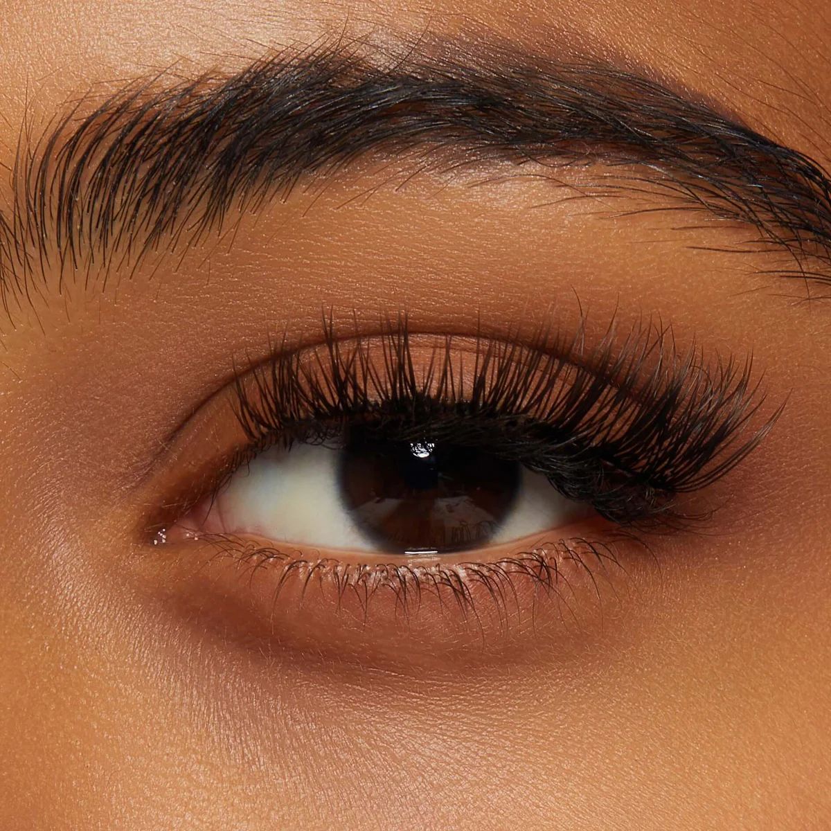 Iso-Tender Lashes TIDE - Create a Natural Looking False Lashes | ISOPIA