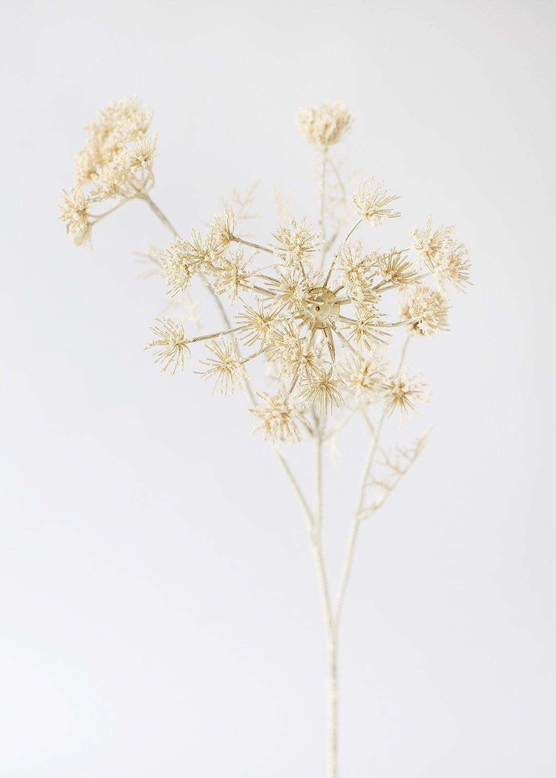 Fake Wildflowers Plastic Cream Beige Queen Anne's Lace - 29" | Afloral (US)