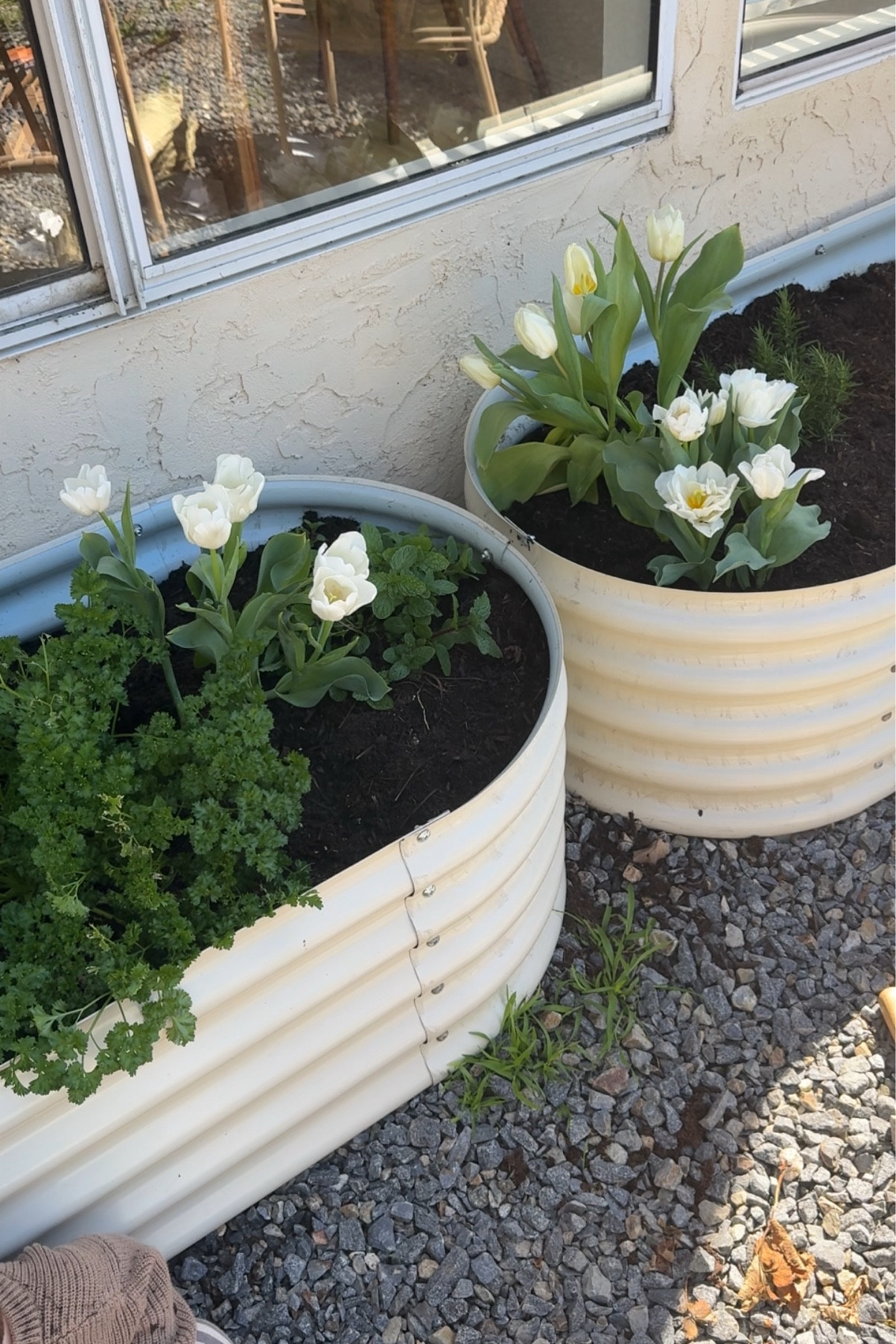 the cutest garden beds