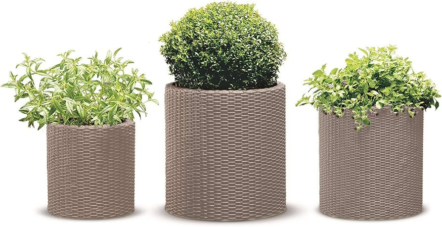 Keter Cylinder Set of 3 Rattan Resin Planter for Indoor and Outdoor Plants Ideal Decorative Plant... | Amazon (US)